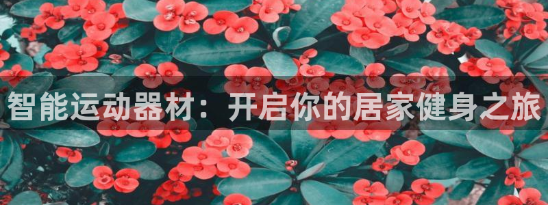 意昂3五金厂：智能运动器材：开启你的居家健身之旅