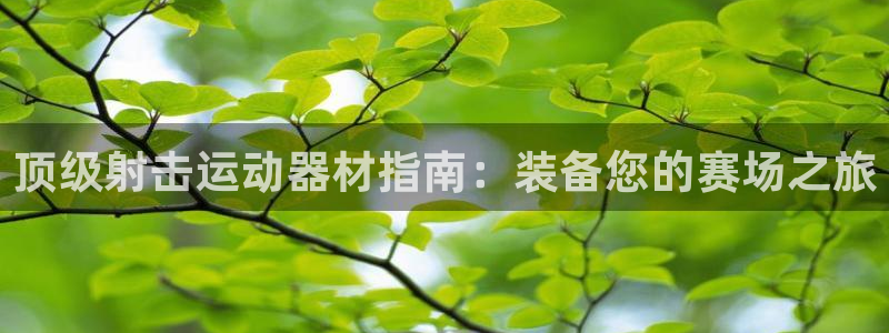意昂3集团E.ON：顶级射击运动器材指南：装备您的赛