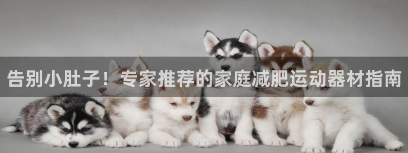 意昂体育3联系电话：告别小肚子！专家推荐的家庭减肥运