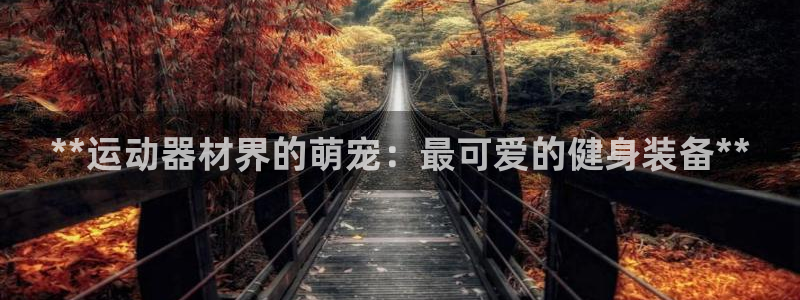 意昂体育3软件：**运动器材界的萌宠：最可爱的健身装