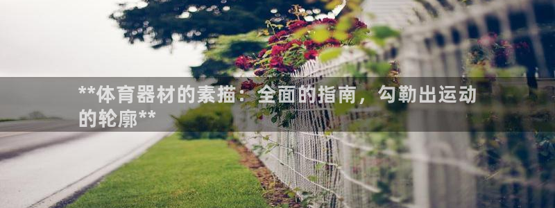 意昂体育3平台是正规平台吗知乎：**体育器材的素描：