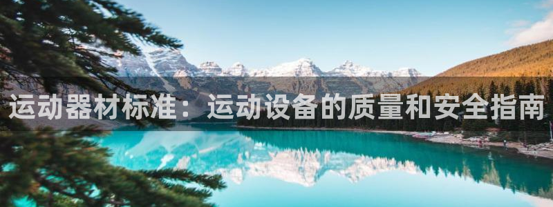 意昂3娱乐下载：运动器材标准：运动设备的质量和安全指