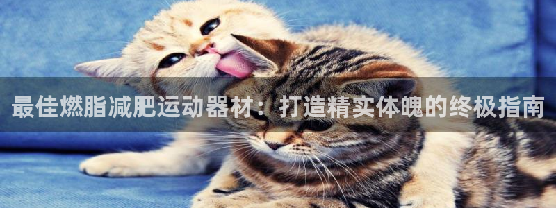 意昂体育3招商电话号码是多少：最佳燃脂减肥运动器材：