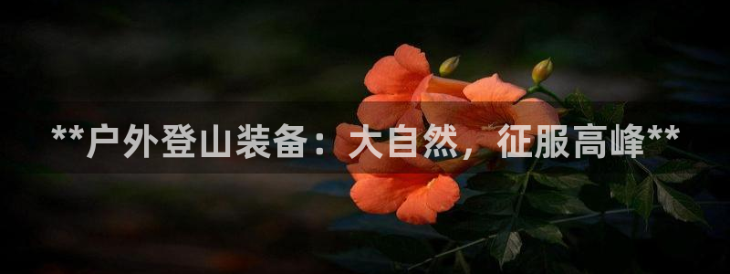 意昂体育3平台APP：**户外登山装备：大自然，征服
