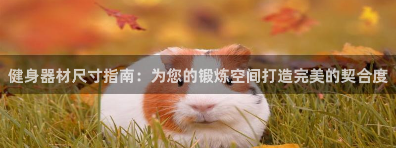 意昂体育3开户：健身器材尺寸指南：为您的锻炼空间打造