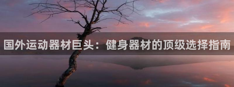 意昂3娱乐：国外运动器材巨头：健身器材的顶级选择指南