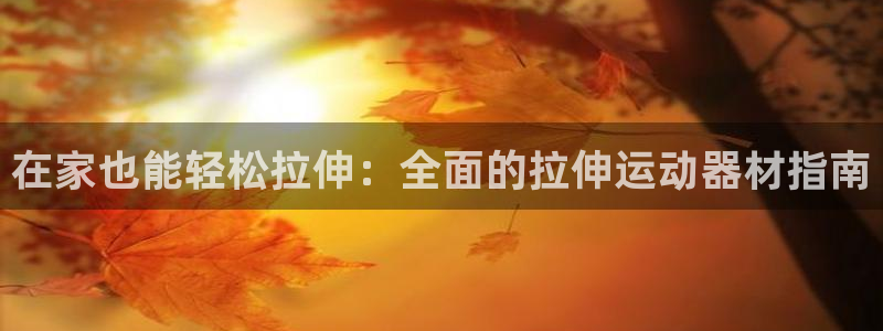 意昂3娱乐是那个系列的台子：在家也能轻松拉伸：全面的
