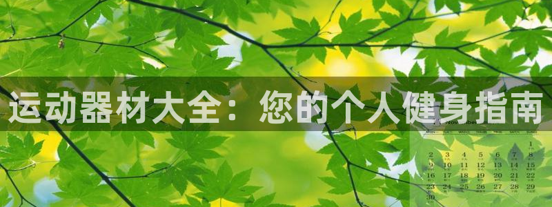 意昂体育3软件：运动器材大全：您的个人健身指南