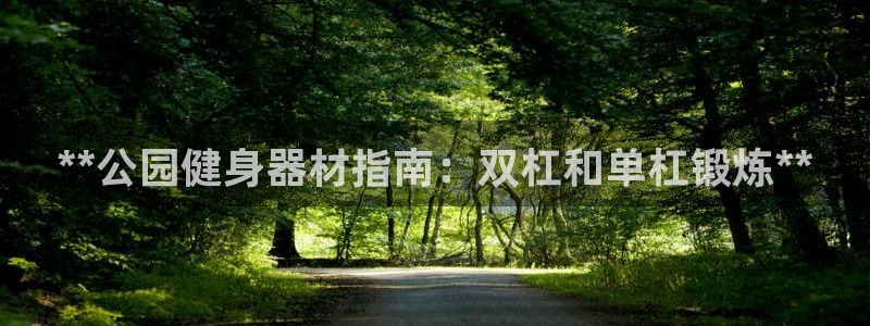 意昂体育3平台假的吗是真的吗：**公园健身器材指南：