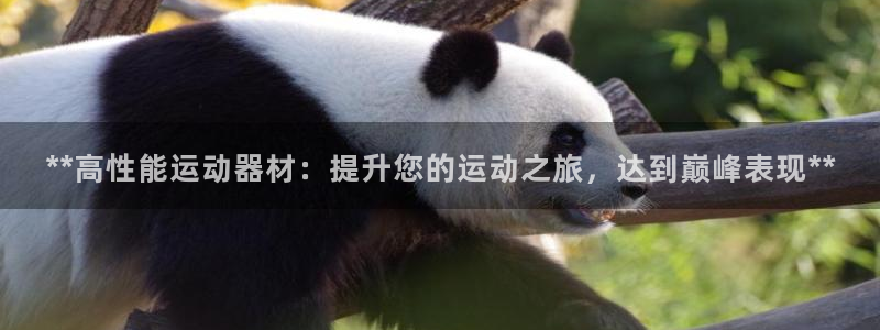 意昂3娱乐代理怎么样：**高性能运动器材：提升您的运