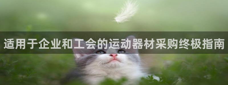 意昂3神州：适用于企业和工会的运动器材采购终极指南