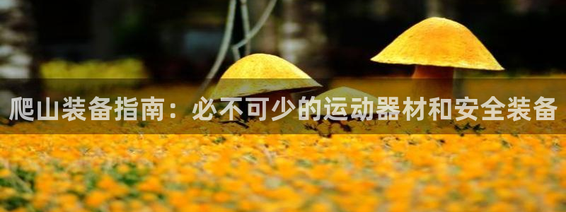 意昂体育3招商电话地址是多少：爬山装备指南：必不可少