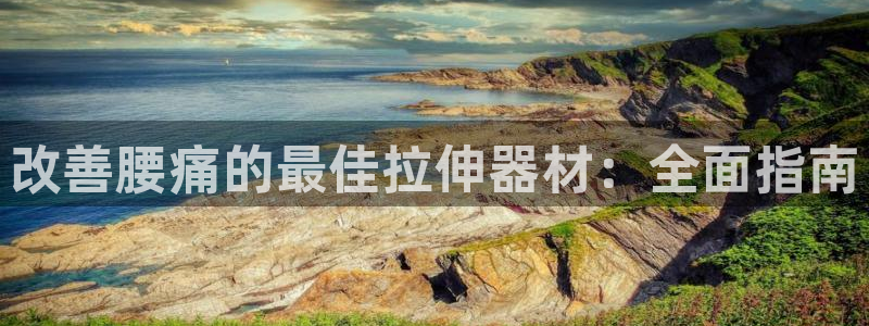 意昂体育3招商：改善腰痛的最佳拉伸器材：全面指南