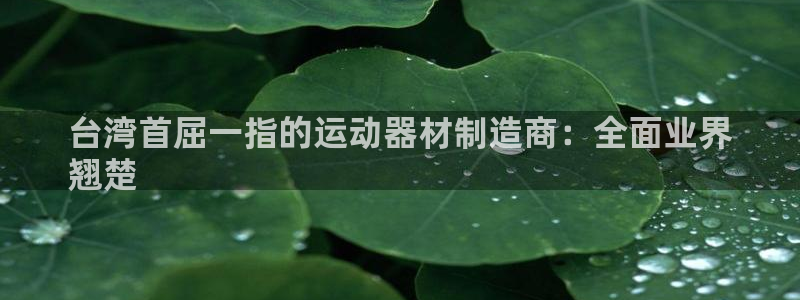 意昂3集团官网首页：台湾首屈一指的运动器材制造商：全