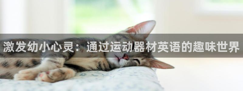 意昂3代理：激发幼小心灵：通过运动器材英语的趣味世界