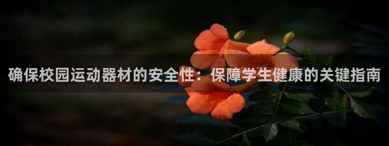 意昂体育3是干嘛的公司：确保校园运动器材的安全性：保