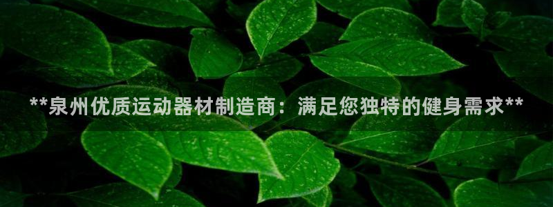 意昂3娱乐下载：**泉州优质运动器材制造商：满足您独