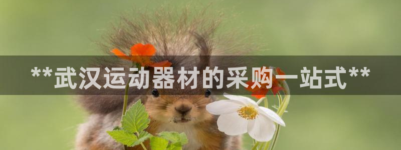 意昂3集团官网首页网址：**武汉运动器材的采购一站式