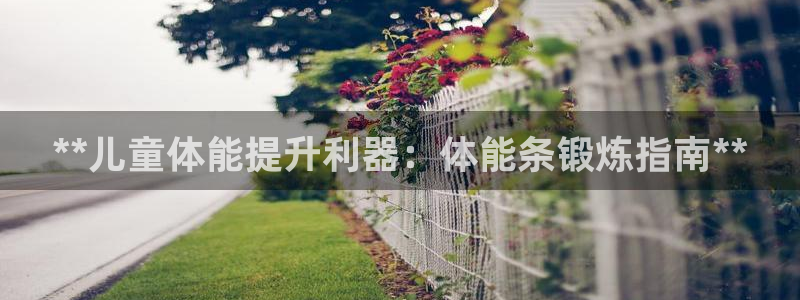 意昂体育3招商电话号码：**儿童体能提升利器：体能条