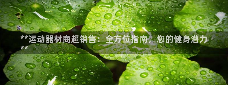 意昂体育3招商电话地址是多少：**运动器材商超销售：