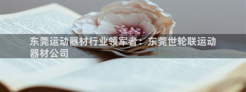 德国意昂3集团：东莞运动器材行业领军者：东莞世轮联运