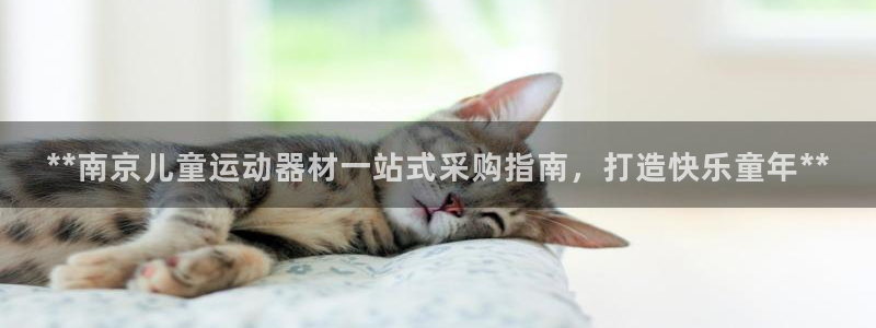 意昂3集团E.ON：**南京儿童运动器材一站式采购指