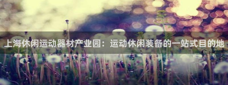 意昂3开户：上海休闲运动器材产业园：运动休闲装备的一