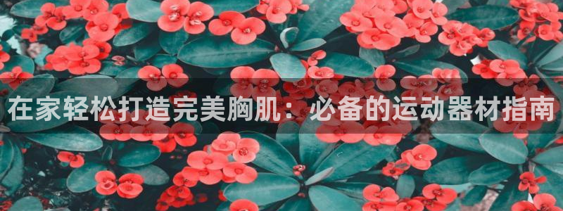 意昂3娱乐是那个系列的台子：在家轻松打造完美胸肌：必
