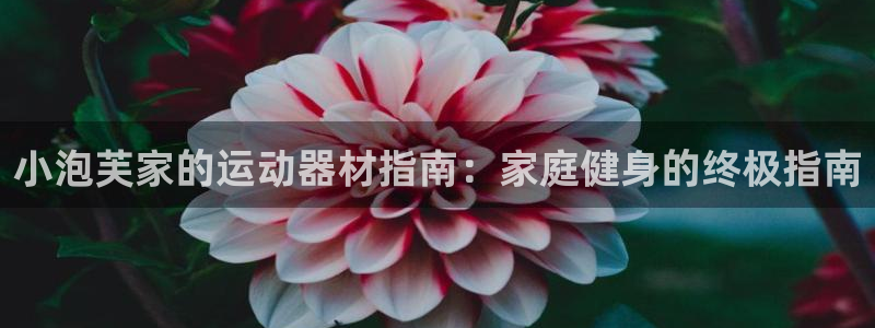 意昂体育3招商电话是多少啊：小泡芙家的运动器材指南：