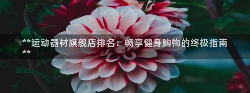 德国意昂3集团：**运动器材旗舰店排名：畅享健身购物