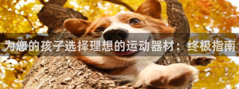 意昂3娱乐：为您的孩子选择理想的运动器材：终极指南