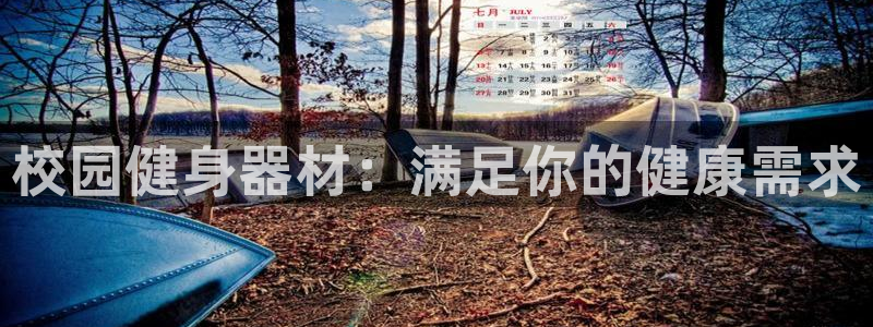 意昂体育3：校园健身器材：满足你的健康需求