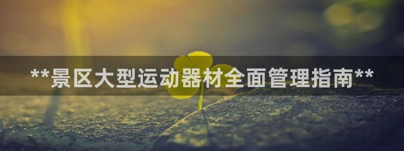 意昂3娱乐代理怎么样：**景区大型运动器材全面管理指