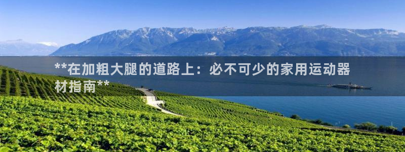 意昂3娱乐平台：**在加粗大腿的道路上：必不可少的家