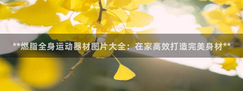 意昂3娱乐首页网站大全：**燃脂全身运动器材图片大全