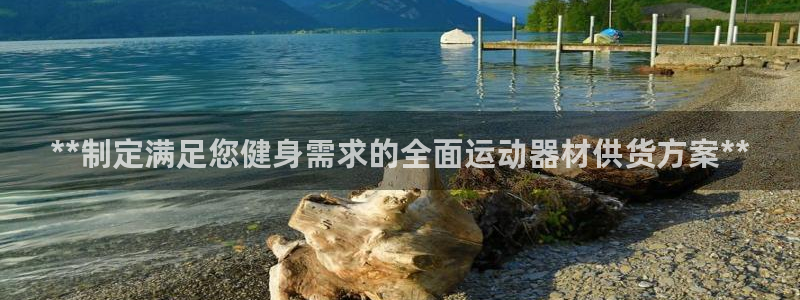 意昂体育3是干嘛的公司：**制定满足您健身需求的全面