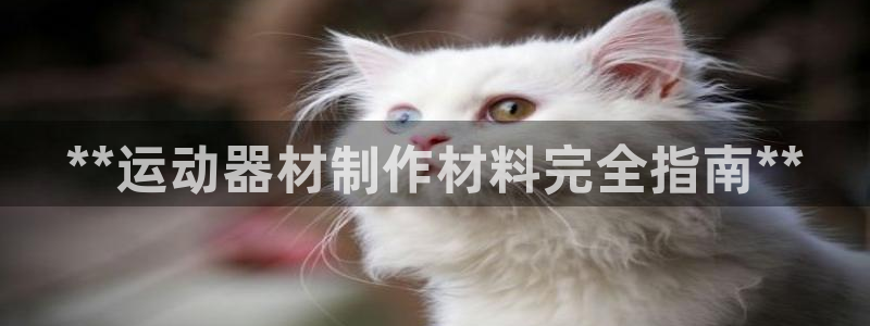 意昂体育3：**运动器材制作材料完全指南**