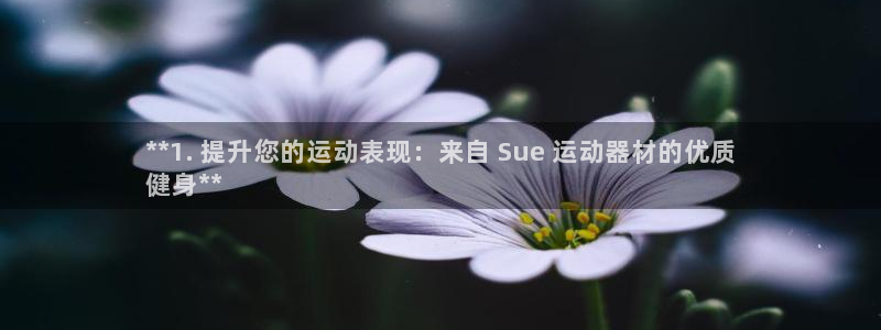 意昂3新能源：**1. 提升您的运动表现：来自 Su