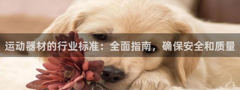 意昂3开户：运动器材的行业标准：全面指南，确保安全和