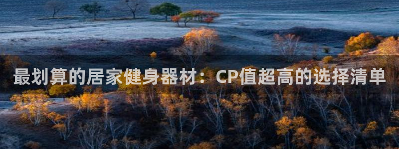 海南意昂体育3：最划算的居家健身器材：CP值超高的选