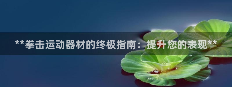 意昂3集团logo：**拳击运动器材的终极指南：提升