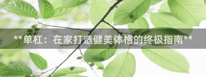 意昂体育3平台：**单杠：在家打造健美体格的终极指南