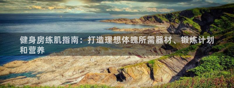 意昂体育3是干嘛的公司：健身房练肌指南：打造理想体魄