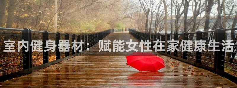 意昂体育3平台APP：室内健身器材：赋能女性在家健康