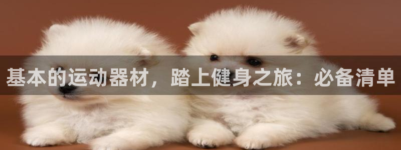 意昂体育3官方客服电话：基本的运动器材，踏上健身之旅
