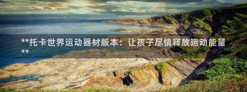 意昂平台体育：**托卡世界运动器材版本：让孩子尽情释