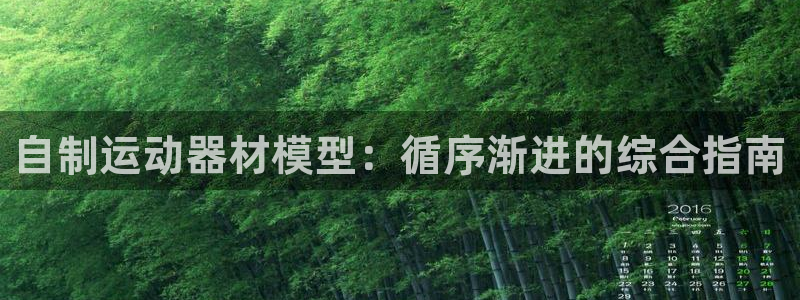 意昂3官网：自制运动器材模型：循序渐进的综合指南