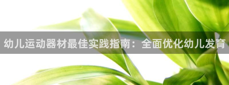 意昂体育3招商电话是多少：幼儿运动器材最佳实践指南：