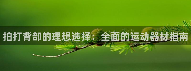 意昂3娱乐：拍打背部的理想选择：全面的运动器材指南