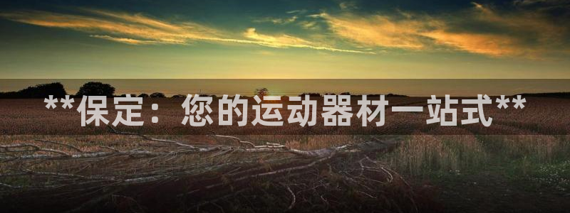 意昂3娱乐下载：**保定：您的运动器材一站式**